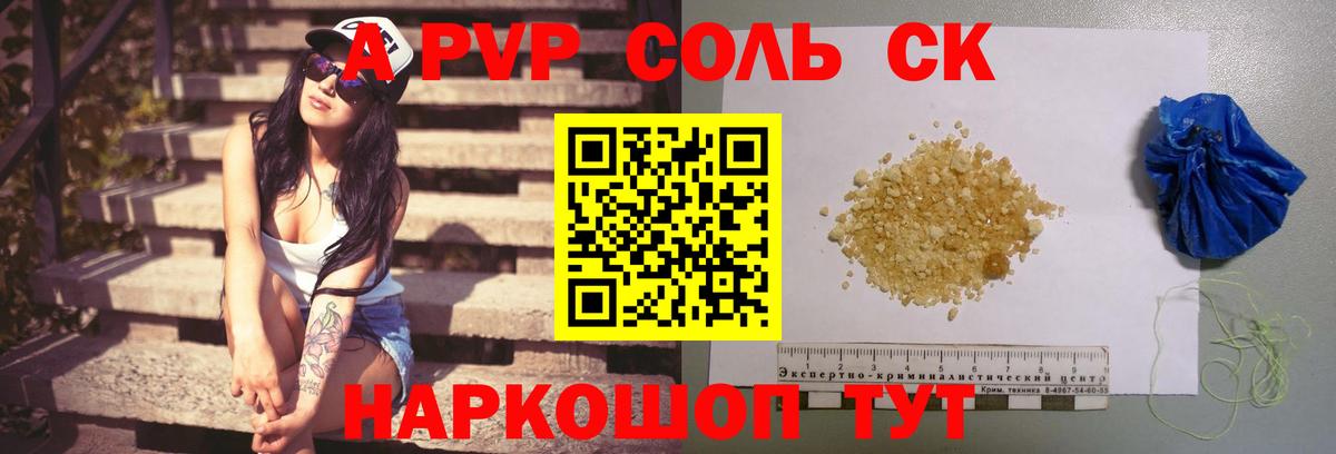 A PVP СК КРИС Шадринск