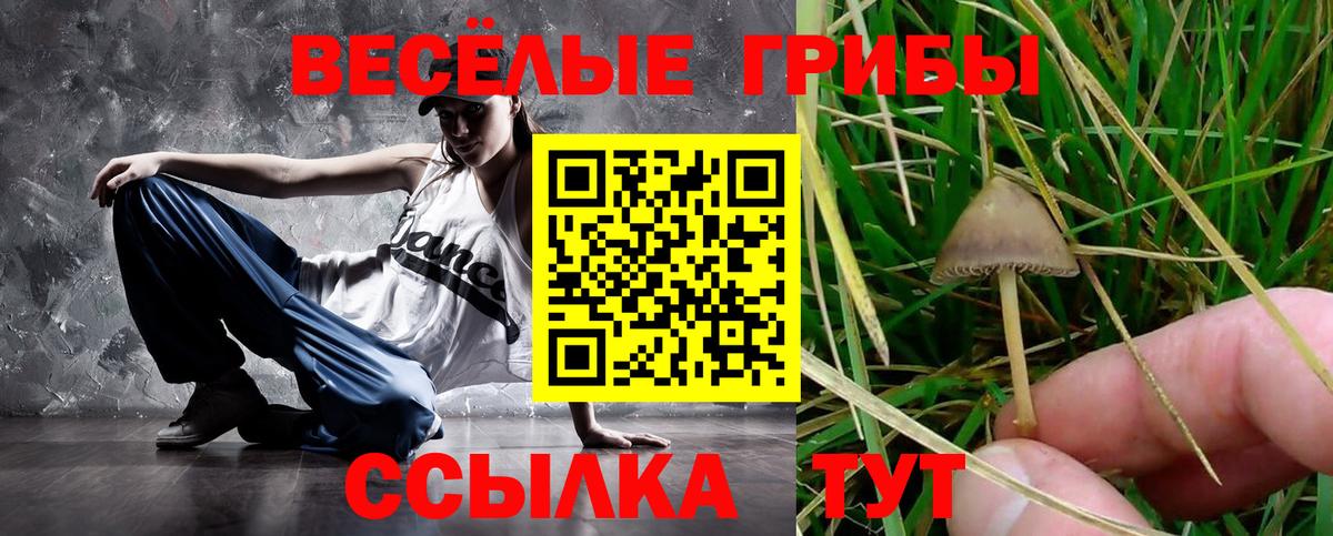 Галлюциногенные грибы GOLDEN TEACHER Шадринск