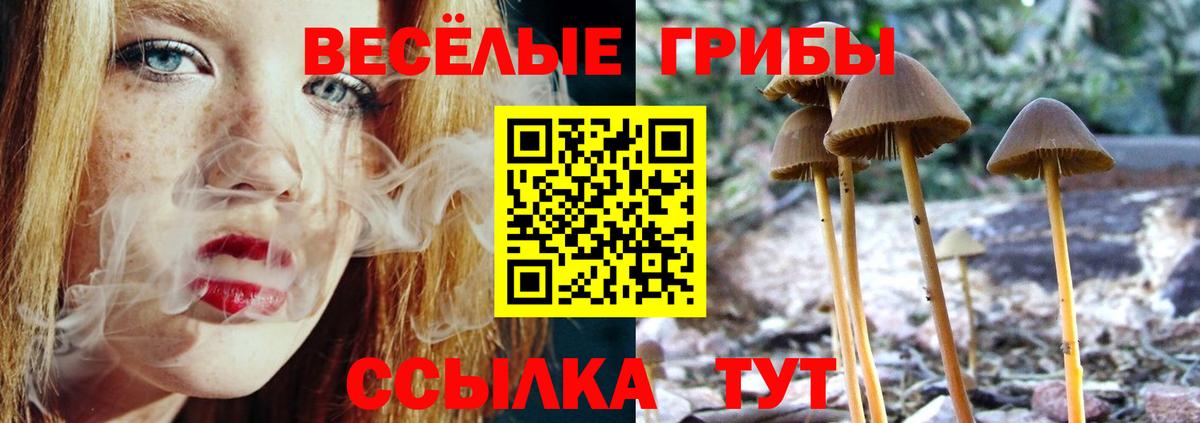 Шадринск  купить наркоту  Галлюциногенные грибы GOLDEN TEACHER  Вход с VPN  Галлюциногенные грибы ЛСД 